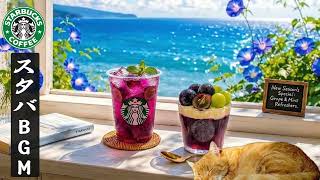 途中広告なし【8月のスタバBGM】夏の朝に聴きたい最高のカフェジャズ☕爽やかな緑と木漏れ日に癒される、心ほどけるスターバックス音楽｜作業用・勉強・読書・集中・リラックス