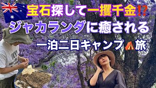 【 🇦🇺 NSWで宝石探しとジャカランダフェスティバル】