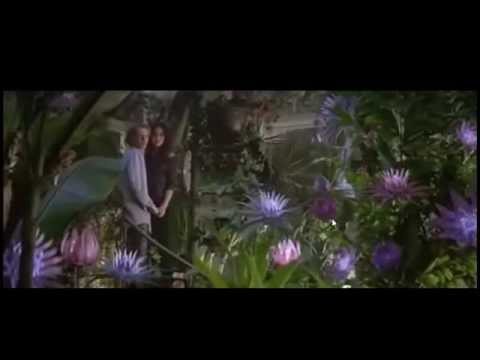 YammYLaluf’s Video 141370828659 UN00E_ZS13Y