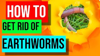 How To Get Rid Of Earthworms