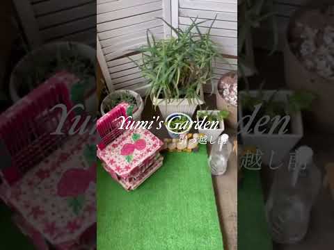 モダンなベランダガラス高床式水吊り肘掛け椅子