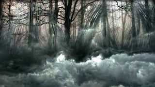 The Beauty of Gemina "Darkness"