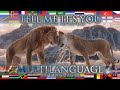 CHRISTMAS MUFASA THE LION KING Tell Me It S You Multilanguage 27 Languages