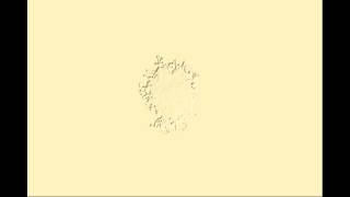 'Zombie' cells are created in lab