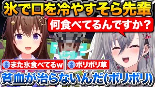 貧血で氷を食べるそら先輩が心配で鉄分係になったりおーな+幼女になるそらちゃん【ホロライブ/響咲リオナ/ときのそら/切り抜き】