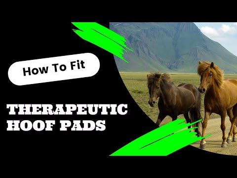 How to Fit EPS Pads to Hoof Boots