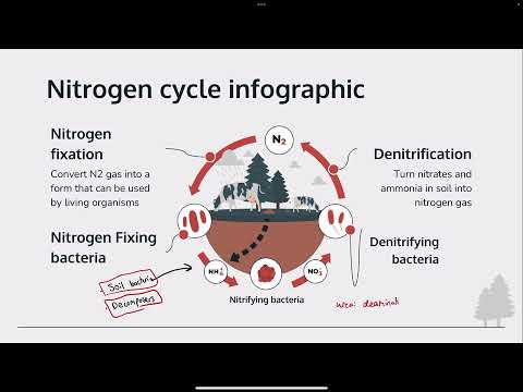 Easily Learn Nitrogen With Editable Pdfs