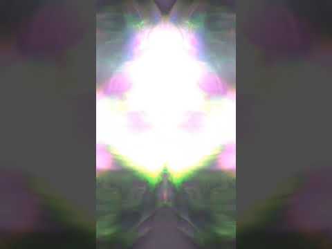 Tim Carleton - Opus number 1