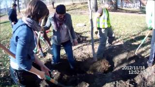 preview picture of video 'Susie Tree planting, Arsenal Park Pittsburgh, 2012 11 18, full version'