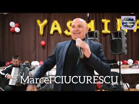 TARAFUL LĂUTĂRESC „MARCEL CIUCURESCU"