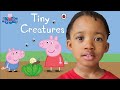 Tiny Creatures Peppa Pig Read Aloud Book For Kids