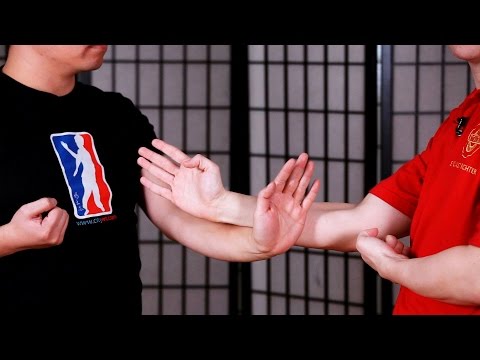 Dan Chi Sau aka Single Hand Chi Sau | Wing Chun