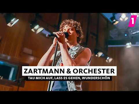 Zartmann ft. WDR Funkhausorchester – Live-Session schönhauser EP | 1LIVE