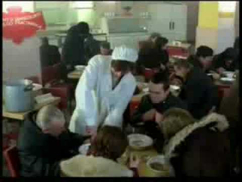 Miś - Bar mleczny Apis