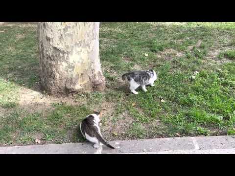 All the girls gathered. What happened next?