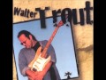 Walter Trout-If You Ever Change Your Mind 