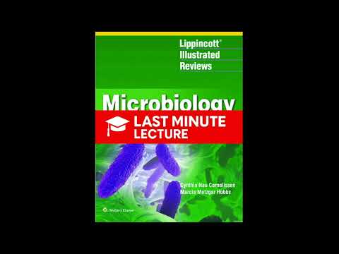 Enveloped DNA Viruses | Chapter 25 – Lippincott Microbiology (4th)