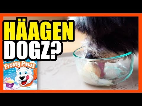 Frosty Paws Review- Like DQ For Your K9!