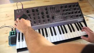 Video thumbnail for Synton Syrinx SN 1 Rare Purple Vintage Synthesizer Synth Keyboard Analog Demo 2 by VintageSynth2013
