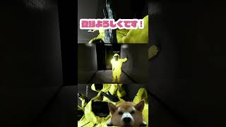 クリア目前で存在するかわからない記憶ｗ【Backrooms: Escape Together】#backrooms #ホラーゲーム #shorts #gaming