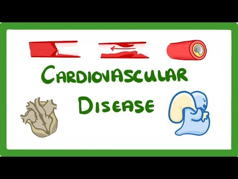 Kingdoms of Life Animals Plants Fungi Protoctists Bacteria and Viruses 1