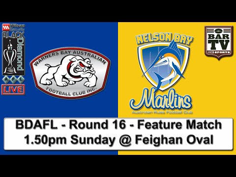 2015 BDAFL - Round 16 - Feature Match - Warners Bay v Nelson Bay