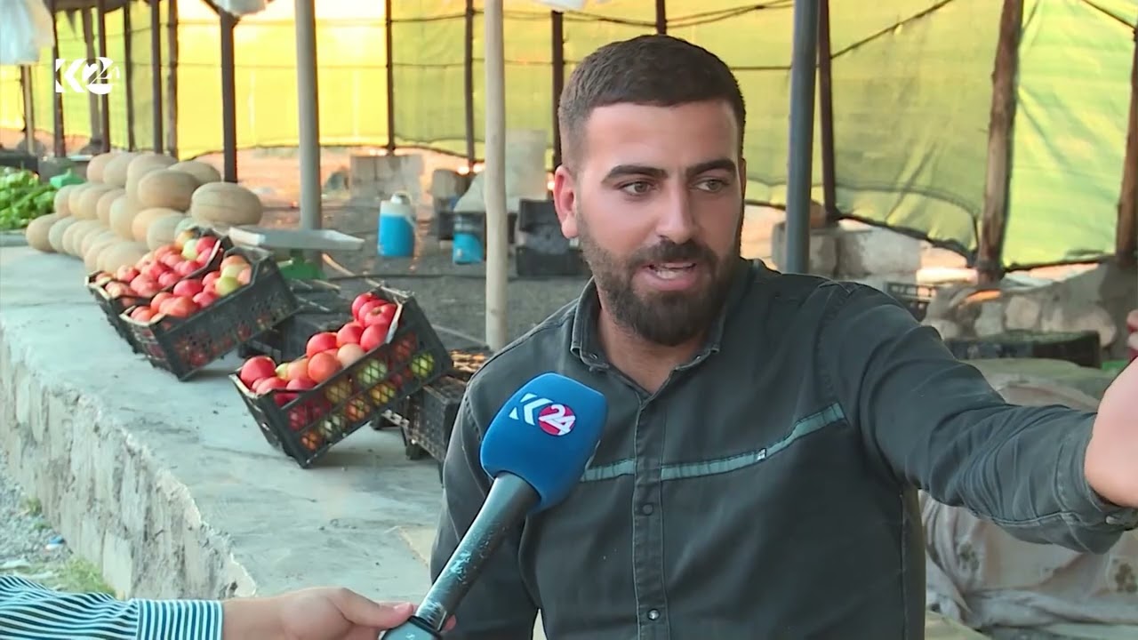 ڤیدیۆ | لە زاخۆ جووتیاران دەستیان بە چنینەوە و رنینەوەی بەرهەمەکانیان کرد