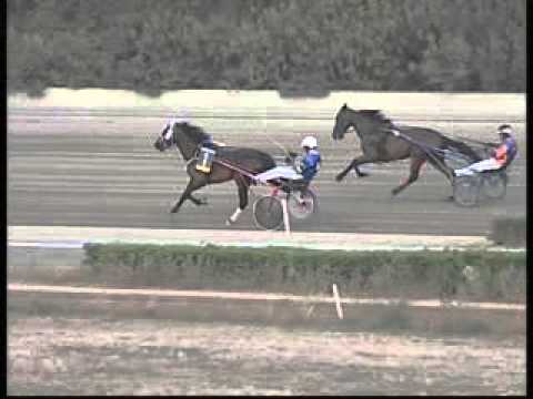 PROVA DI QUALIFICA 3 Anni Mt.1620 del 12 LUGLIO 2014