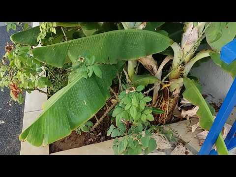 Flokkas Hotel Apartment Protaras