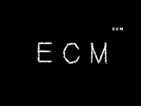 skinnyman, karl hinds and others and the n word on The Uk music Industry Pt1