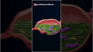 Here's why you can't 