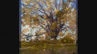 Sin miedo a perder (Original 2006).wmv