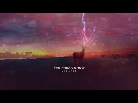 The Freak Show - Violin