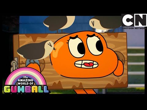 O Sonho | O Incrível Mundo de Gumball | Cartoon Network