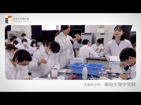 海洋生命科学科 北里大学理学部 実習紹介 細胞生物学実験