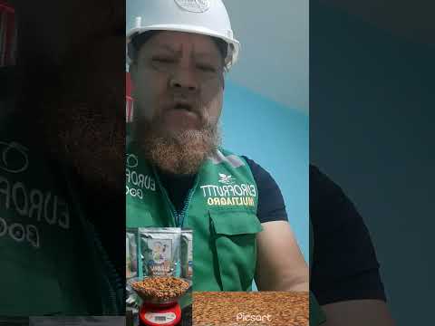 SEMILLAS DE DURAZNO BLANQUILLO