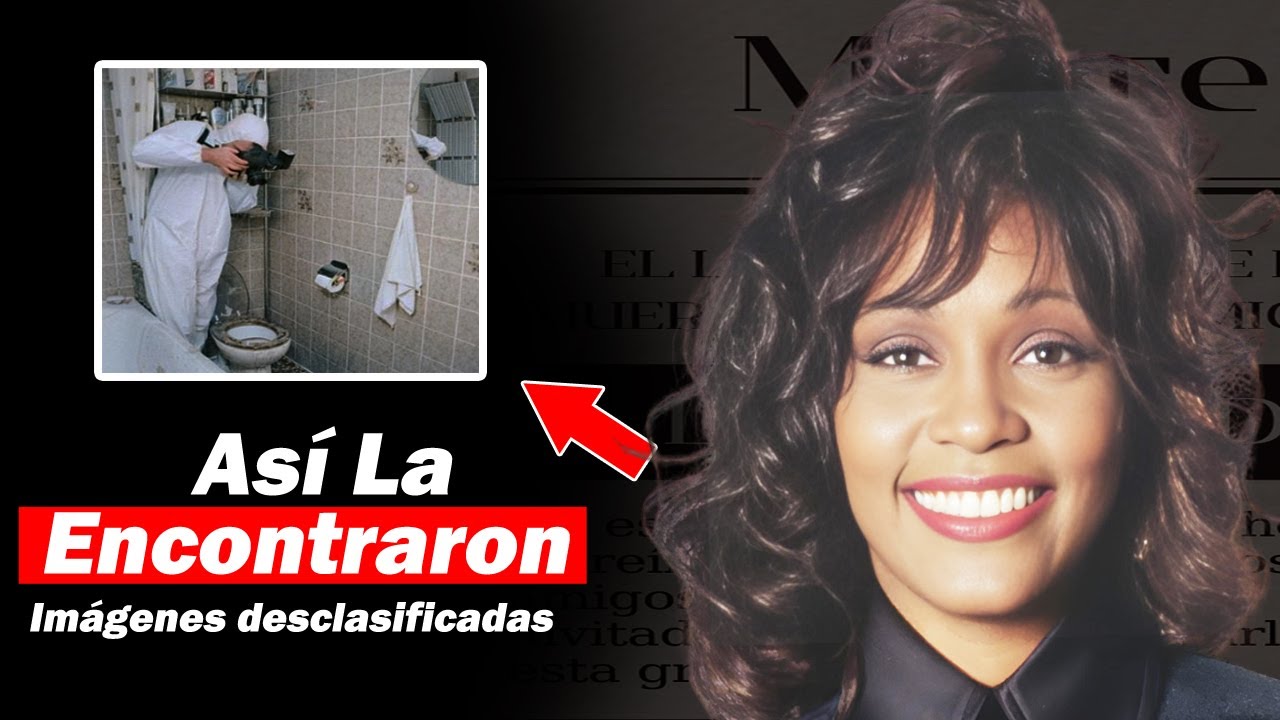 YouTube Thumbnail Downloader FULL HQ IMAGE