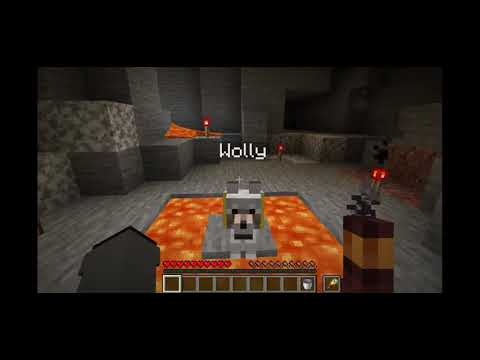 lo youtuber misterioso ha minacciato BellaFaccia e Wolly