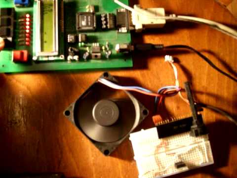 steuerbare Pulsweitenmodulation 8051