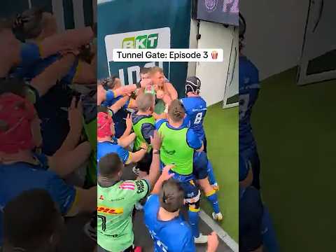 Are these rivalries officially getting too heated 🔥🏉 #rugby #stormers #leinster