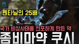 Download lagu '25 Times Stronger Than Fentanyl': The 'Kush' Zombie Drug Catastrophe That Forced West Africa Int... mp3