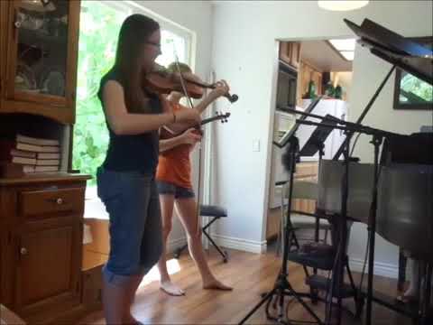 Violin -  I Dont Love Nobody