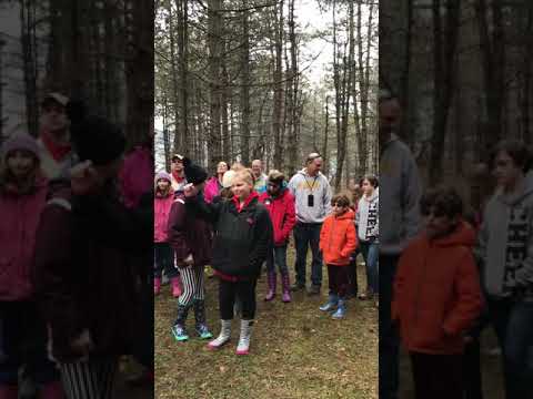 What Trees Can You Make Syrup From?