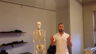 Fix Your Hips To Fix Your Alignment