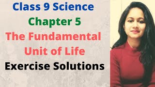 Class9 Science Chapter 5 Fundamental Unit of Life Exercise Solutions