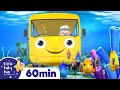 Wheels On The Bus Underwater LittleBabyBum Classic Nursery Rhymes For Babies