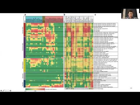 2020 STAT115 Lect13.2 Histone marks on enhancers