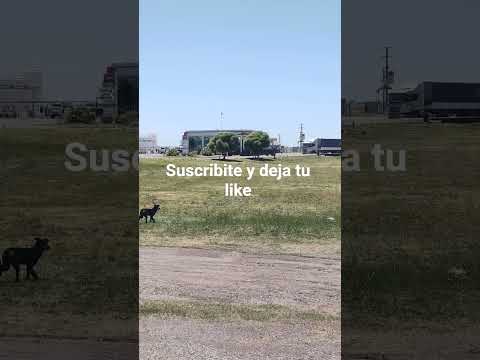 Trenque Lauquen Buenos Aires