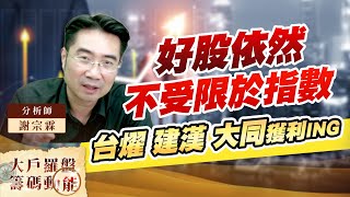 好股依然不受限於指數 台燿 建漢 大同獲利ING (圖)