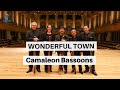 WONDERFUL TOWN Camaleon Bassoons 1 Of 4